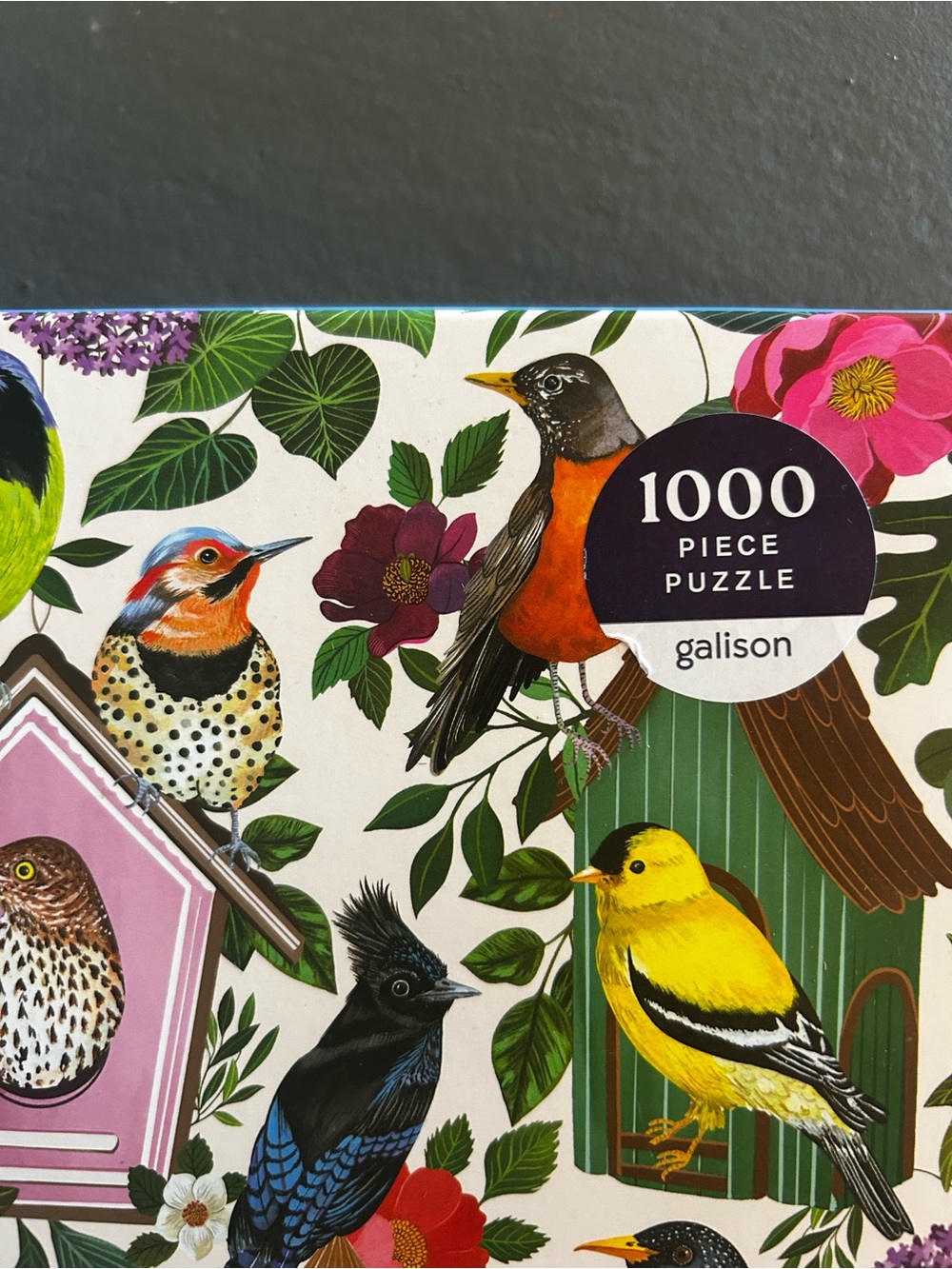 Galison 1000-Piece Bird Puzzle - Yellow & Multicolor Illustration Birdhouse Lane